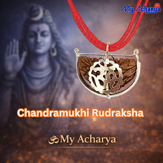 Chandramukhi Rudraksha with Silver Om