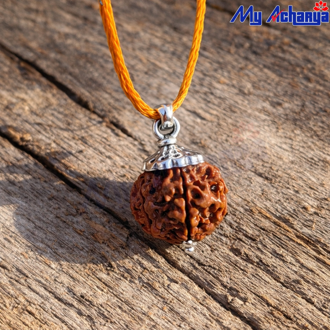 Rudraksha