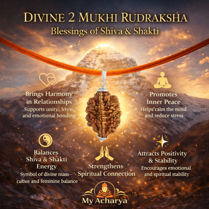 2 Mukhi Rudraksha with silver cap (single)