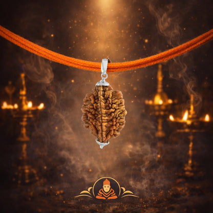 2 Mukhi Rudraksha with silver cap (single)