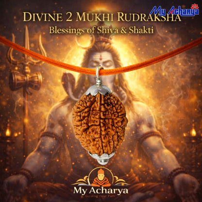 2 Mukhi Rudraksha with silver cap (single)