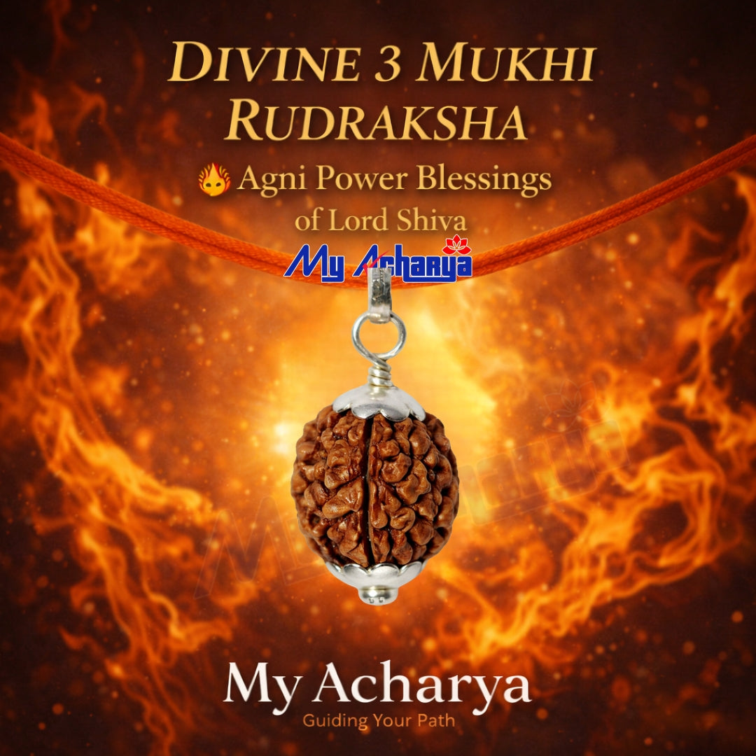 3 Mukhi Rudraksha with silver cap (single)