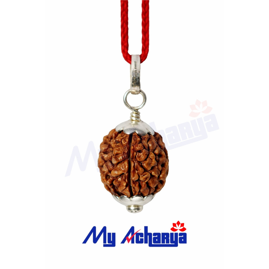 3 Mukhi Rudraksha with silver cap (single)