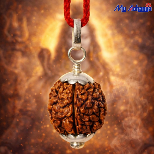 3 Mukhi Rudraksha with silver cap (single)