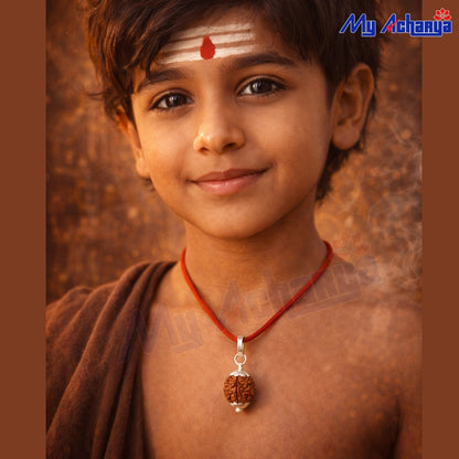 3 Mukhi Rudraksha with silver cap (single)