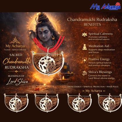 Chandramukhi Rudraksha with Silver Om