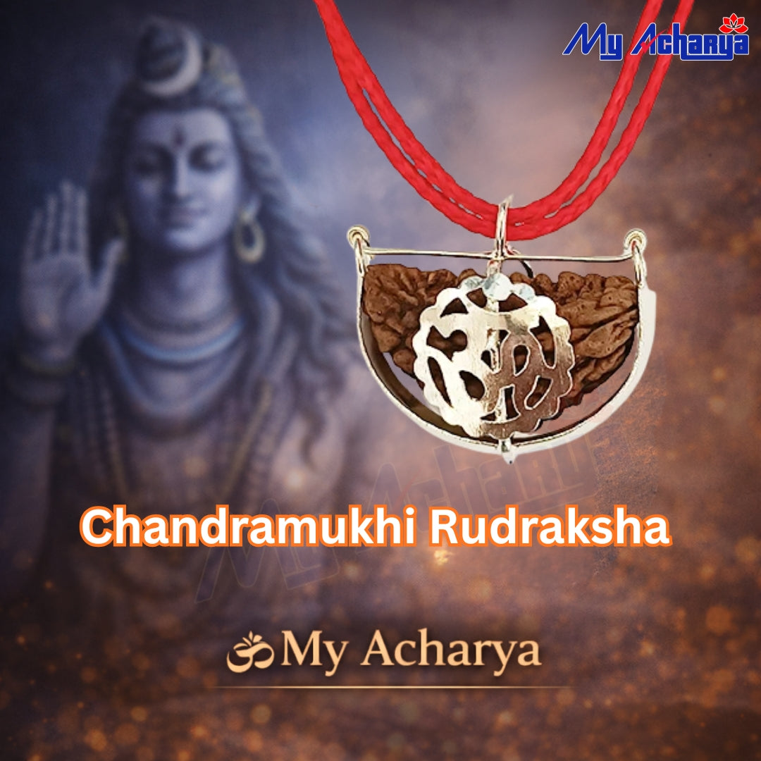 Chandramukhi Rudraksha with Silver Om