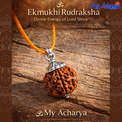 Ek Mukhi Rudrakshi with Silver CAP (SINGLE)