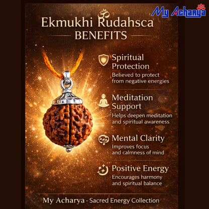 Ek Mukhi Rudrakshi with Silver CAP (SINGLE)