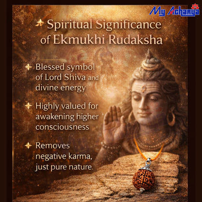 Ek Mukhi Rudrakshi with Silver CAP (SINGLE)