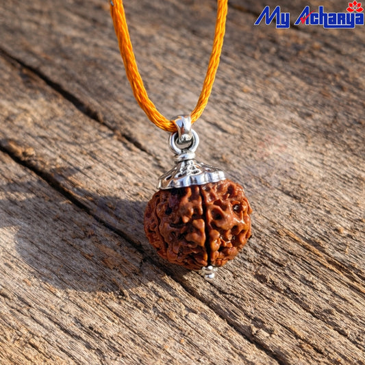Ek Mukhi Rudrakshi with Silver CAP (SINGLE)