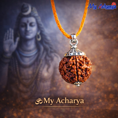 Ek Mukhi Rudrakshi with Silver CAP (SINGLE)