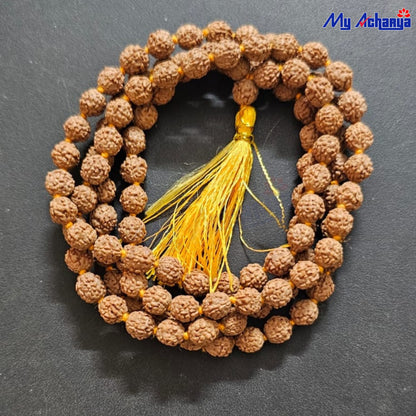 Rudraksha Mala